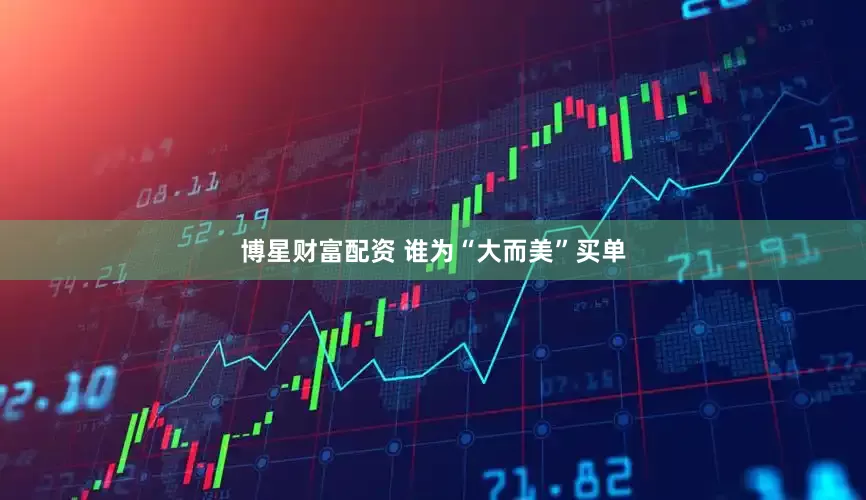 博星财富配资 谁为“大而美”买单